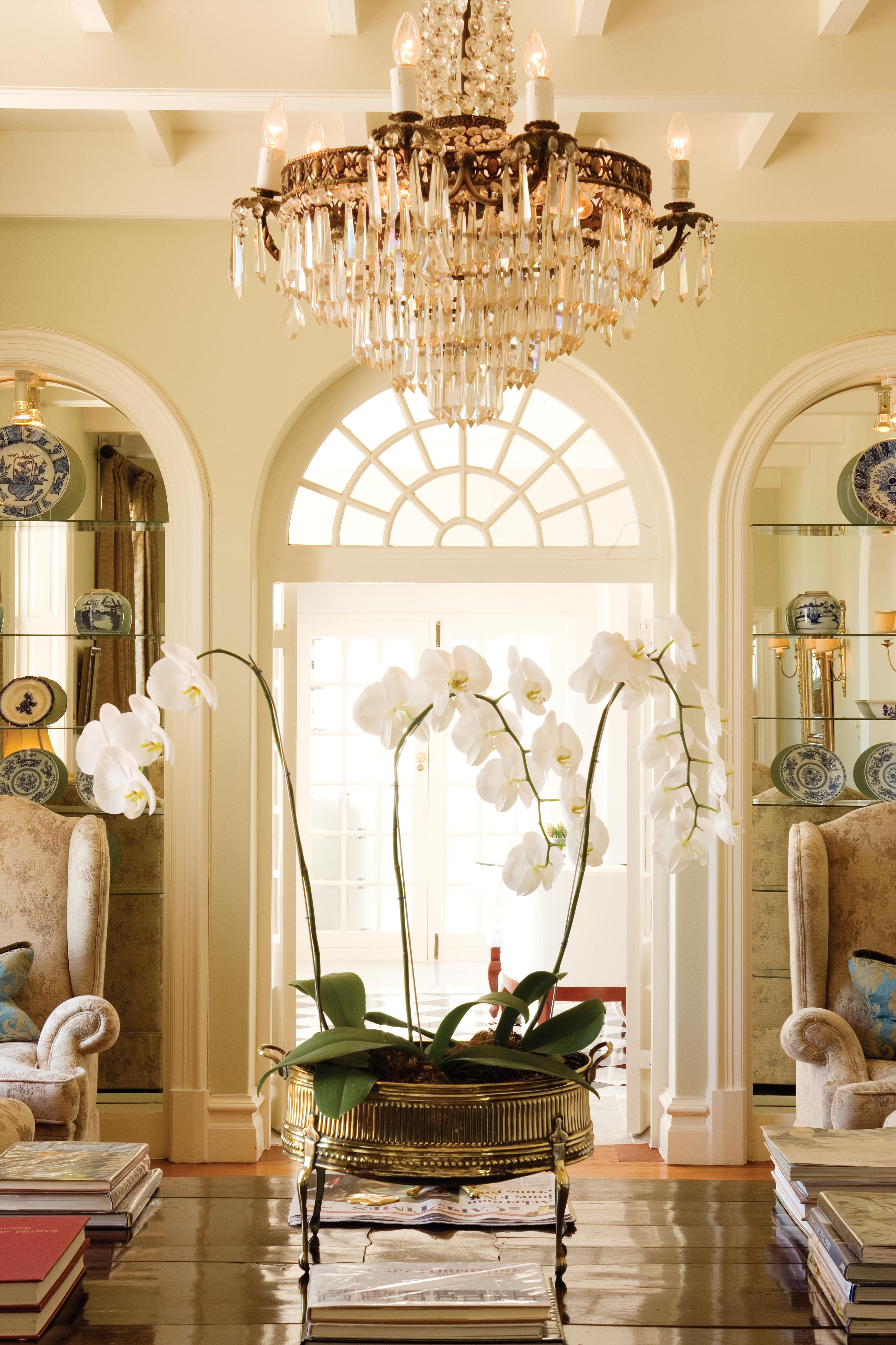 The Andros Boutique Hotel